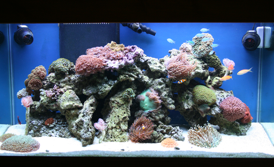 Tank Close